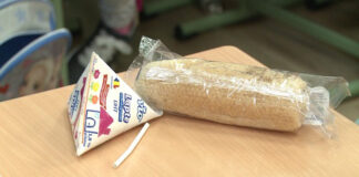 Fructe și produse lactate pentru elevi și preșcolari