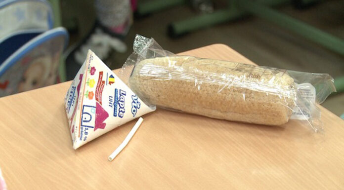 Câți bani dă Guvernul pentru lapte și fructe în școli