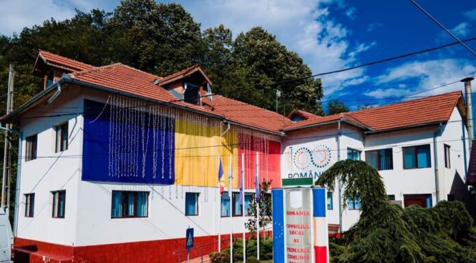 Programul Prima Conectare, implementat la Runcu