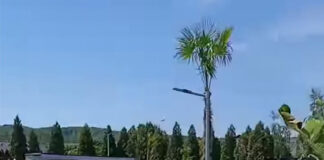 S-a deschis noul ștrand de la Rovinari!