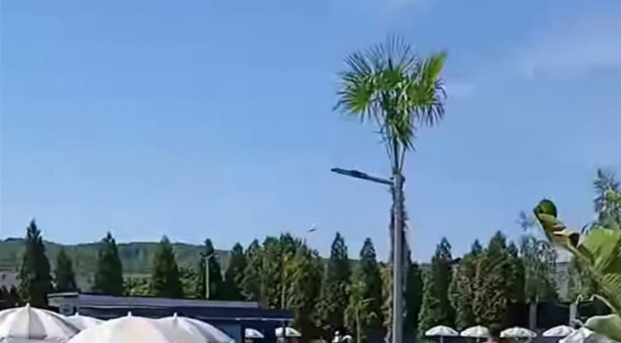 S-a deschis noul ștrand de la Rovinari!