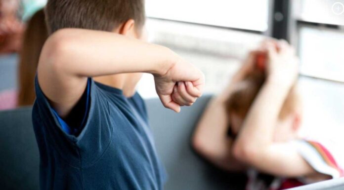 Noi măsuri pentru combaterea violenței în școli