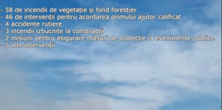 Trei zile cu 118 intervenții ale pompierilor gorjeni. Zeci de hectare de pădure, mistuite de foc