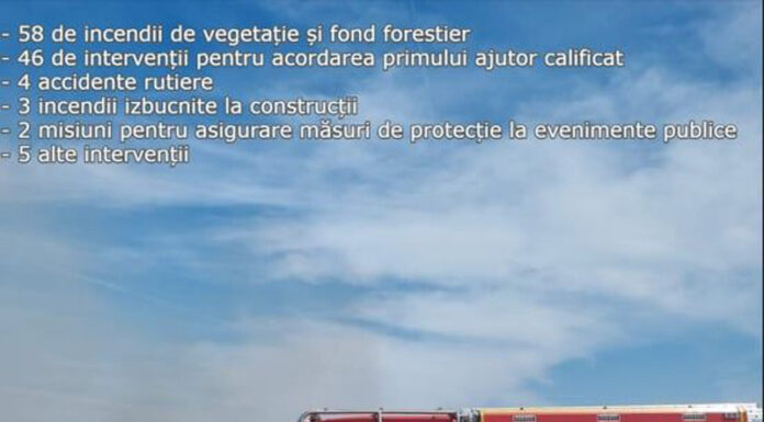 Trei zile cu 118 intervenții ale pompierilor gorjeni. Zeci de hectare de pădure, mistuite de foc