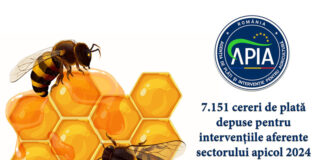 APIA: 7.151 cereri de plată depuse pentru intervenţiile aferente sectorului apicol