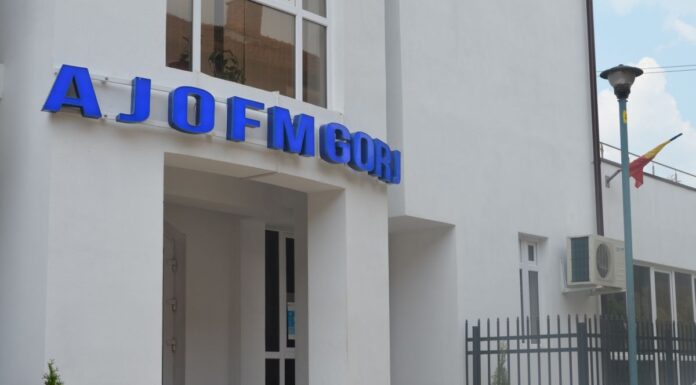 Oferta AJOFM de job-uri în străinătate, atractivă pentru gorjeni