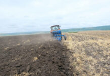 Agricultura pe înțelesul tuturor – Dacă toamna va fi timpurie și scurtă – Cum punem bazele viitoarelor culturi ?