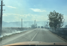 FOTO/VIDEO, Târgu Cărbunești: Drum învăluit în fumul unui incendiu puternic