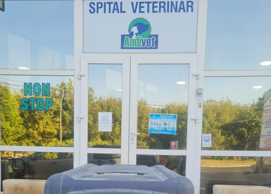 Gorj: Cățelusă salvată de Serviciul public pentru protecția animalelor