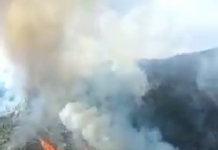 VIDEO, Gorj: 80 de hectare de pădure cuprinse de flăcări. Se va interveni cu elicopterele și în Masivul Parâng