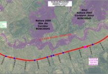 23 de opere de artă pe drumul expres Craiova – Târgu Jiu