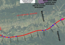 Încă un lot al drumului expres Craiova – Târgu Jiu intră în licitație