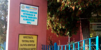 Unități de alimentație din Gorj, amendate de inspectorii DSVSA