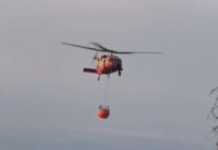 Arde pădurea de la Padeș! Intervenție cu elicopterul Black Hawk
