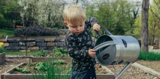 Vezi aici 3 idei de activități pe care le poți face alături de nepotul tău!