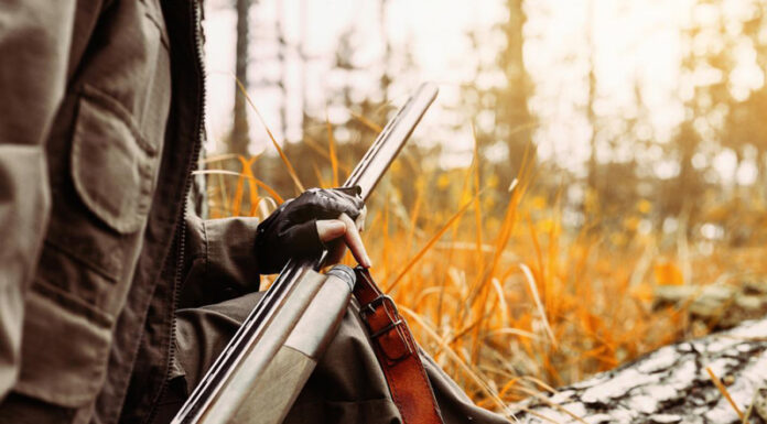 Condamnat după ce a vrut să împuște ilegal vulpi și șacali!