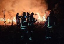 40 de pompieri din România rămân pentru șase săptămâni în Grecia