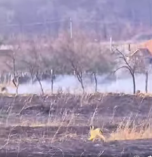 Salvatorii cer ajutorul populației: ”STOP INCENDIILOR DE VEGETAȚIE!”