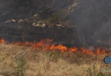 Gorj: Cinci incendii în desfășurare!