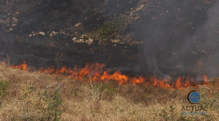 Gorj: Cinci incendii în desfășurare!