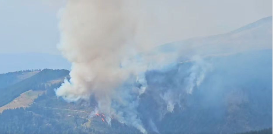 Număr record de incendii în pădurile Romsilva