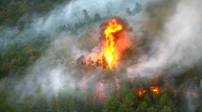 Crasna: Câmp cuprins de flăcări. Casă posibil afectată