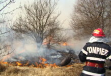 Romsilva: Gorjul, pe primul loc la numărul incendiilor care au afectat fondul forestier