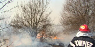 Romsilva: Gorjul, pe primul loc la numărul incendiilor care au afectat fondul forestier