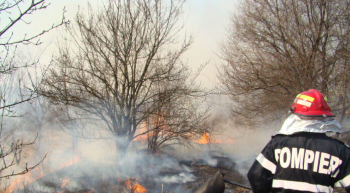 Romsilva: Gorjul, pe primul loc la numărul incendiilor care au afectat fondul forestier