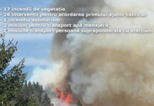 Gorj: Aproape 50 de intervenții de urgență într-o zi