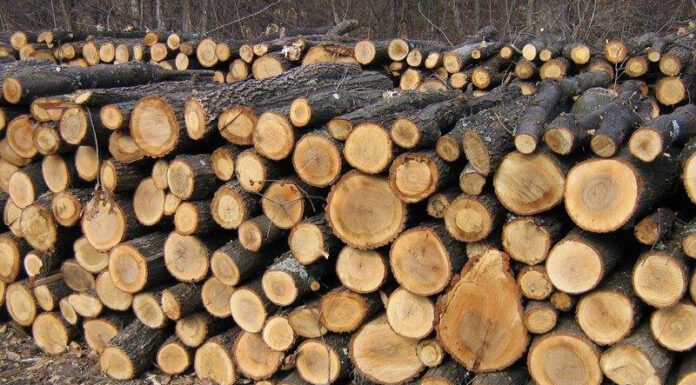 DGASPC Gorj cumpără lemne de foc