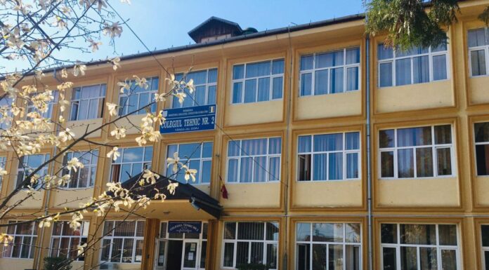 Proiect al elevilor Liceului Nr. 2 Tg. Jiu, admis la faza națională a ”Școlii Solomonarilor”