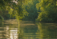 Se înființează o nouă agenție. Ce se comasează