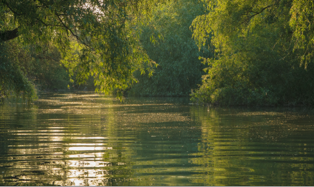 Se înființează o nouă agenție. Ce se comasează