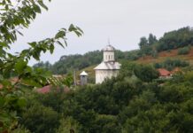 Repere estivale – La Poiana lui Mihai – „SALVE ROMULI PARVA NEPOS”