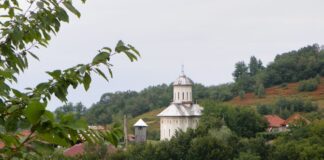 Repere estivale – La Poiana lui Mihai – „SALVE ROMULI PARVA NEPOS”