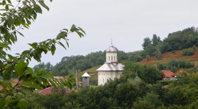 Repere estivale – La Poiana lui Mihai – „SALVE ROMULI PARVA NEPOS”