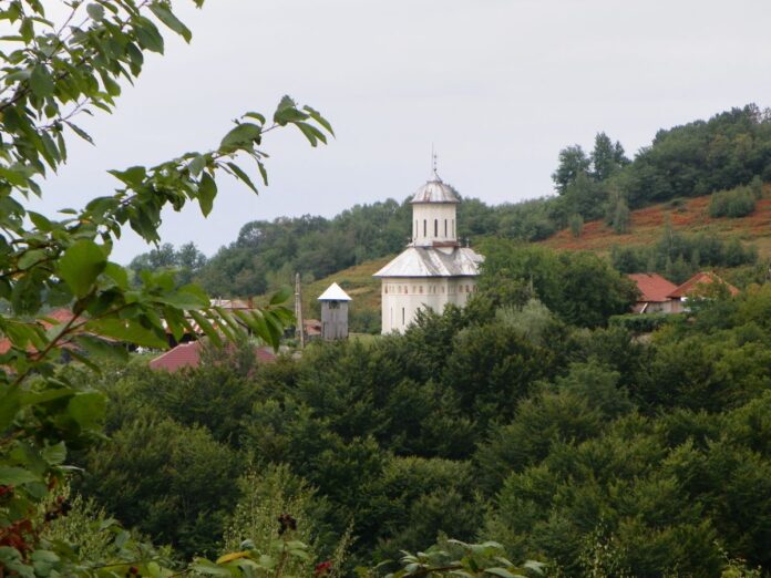 poiana lui mihai (2)