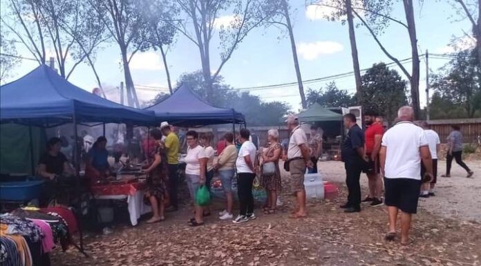 Repere estivale – Pași prin Țara Jiului de Sus – POLOVRAKOS…