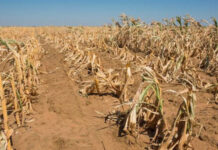 Pârjol în Gorj! Doar o zi până când vor mai putea fi depuse cereri pentru bani!