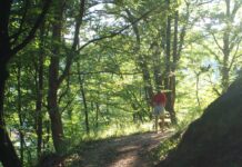 Atitudini estivale – „CREDINCIOŞII” PETRECĂREŢI