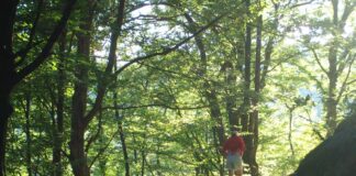 Atitudini estivale – „CREDINCIOŞII” PETRECĂREŢI