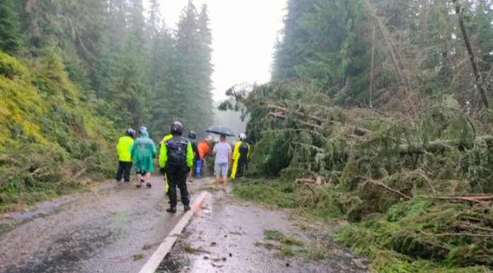 O ploaie torențială a întrerupt circulația
