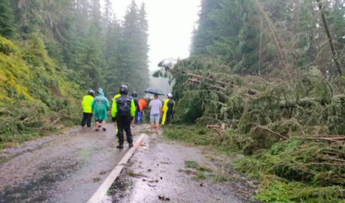 O ploaie torențială a întrerupt circulația