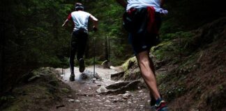 Remedii Naturale pentru Mobilitatea și Flexibilitatea Articulațiilor