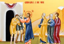 Viaţa Spirituală – Calea, Lumina, Adevărul şi Viaţa! – Dumnezeu a făcut, face și va face tot felul de minuni în vecii vecilor, atât în cer și pe pământ, aşa cum face şi vindecarea celor doi orbi şi a unui mut din Capernaum!