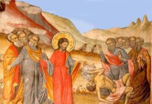 Viaţa Spirituală – Calea, Lumina, Adevărul şi Viaţa! – Dumnezeu ne învaţă că oamenii chinuiţi de felurite boli, paralitici, orbi, şchiopi, muţi, leproşi, şi alţii s-au apropiat de Mântuitorul Iisus Hristos pentru tămăduirea lor!