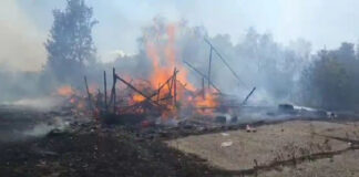 Gorj: Se reaprind incendiile de vegetație