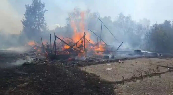 Gorj: Se reaprind incendiile de vegetație