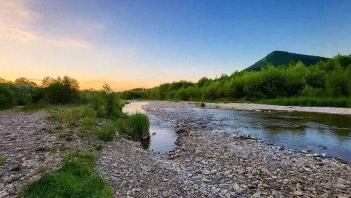 0c201ca8-cf37-4b03-bef0-43c96971b093